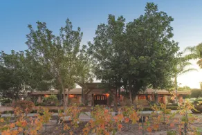 Private Gated 3 ac. Estate (Vineyard, Pool, Spa) - Image 4