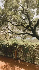 Dream House ATX • Lake View Cabin Featured On HBO - Image 4