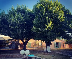 Charming Provençal bastide in the French Riviera - Image 4