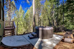 Glass Cabin Under the Pines | Hot Tub • Seclusion - Image 4