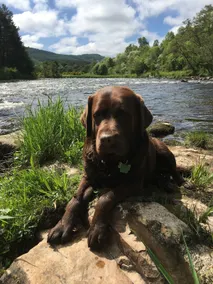 Ballin Dhu - tranquil retreat on the Speyside Way - Image 4