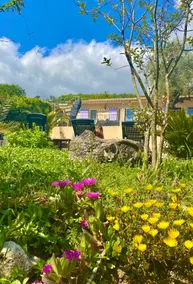 Villa Canarias - Image 2