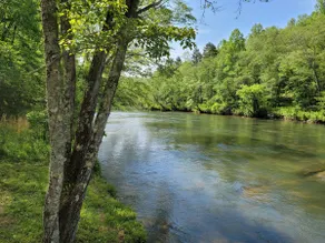 Peaceful River Retreat in North GA Mountains - Image 2