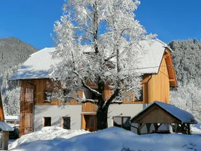 Mountain Paradise 4*, two-bedroom comfort apartment - Image 5