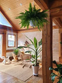 Pani Bottle & Kwon Eun-bi's ”Idler Shallé” filming location, Junggwang Villa (swimming pool open in June) - Image 2