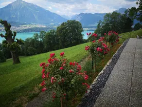 Chalet with panoramic views of the mountains of the Oberland and Lake Thun - Image 4