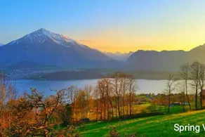 Chalet with panoramic views of the mountains of the Oberland and Lake Thun - Image 3