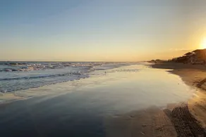 DayDreamBeliever Beach House -3 Bedrm - Image 5