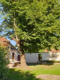 Beautiful Gîte & pool near Beauval & Châteaux - Image 3