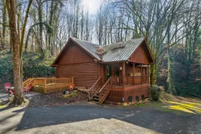 Walking distance to LeConte/Small Dogs allowed/ 2 - Image 4
