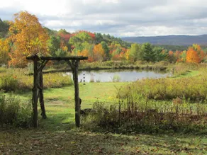 Gorgeous Hilltop Paradise with epic views and swimming pond - Image 3