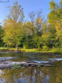 Robinson River Retreat - Near River, SNP & Graves - Image 3