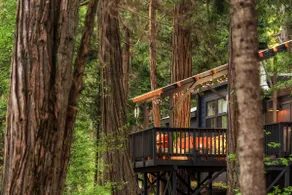Secluded modern creekside getaway - Image 5
