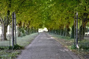B&B, beautifully rural location, behind old driveway - Image 2
