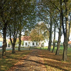 B&B, beautifully rural location, behind old driveway - Image 4