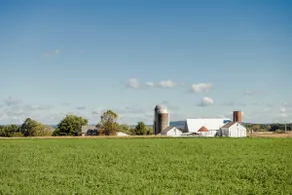 Modern 4 Bedroom House with Farm Views - Image 5