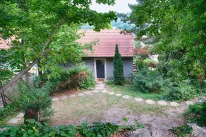 Kis Cinke Guesthouse: Panoramic house in the Danube Bend - Image 4