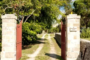 Masseria Luci - Image 4