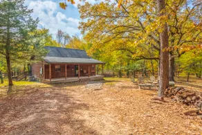 BearCreek Cabin, Nostalgic, Park-like setting - Image 4