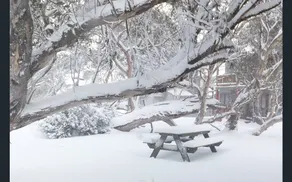 Freeze Frame - Image 5