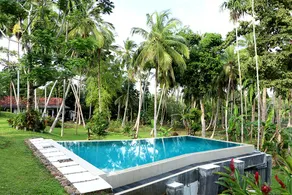 3 ensuit room Villa with Jungle view & Pool - Image 2