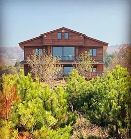 Woodstock Chalet - Image 5