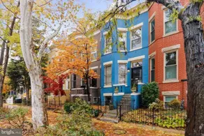 Lovely Capitol Hill 1 BR/1BA English Basement - Image 2