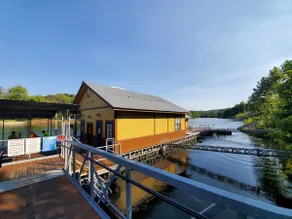 Large w Pond View, Lake Access, Fishing & Sunroom - Image 2