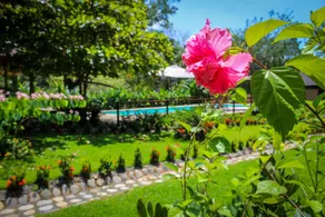 Retreat in Tropical Paradise - Villas Azul #1a - Image 5