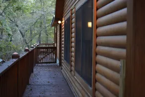 Treehouse near the Santa Fe & Ichetucknee River - Image 5