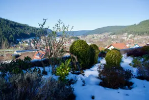 Apartment with great views over the Murg Valley - Image 3