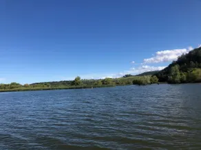 Fun large House on the Lake - Image 2