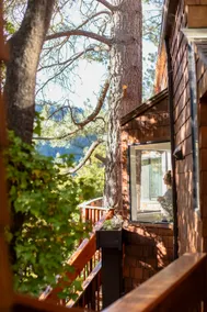 Cedar Treehouse Idyllwild~Near Town~Stunning Views - Image 4