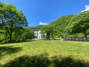 3500㎡ Forest Log House｜Dog OK・Sauna BBQ｜Up to 19 - Image 4