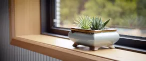 ”The Little Seed” Luxury self contained Studio - Image 2