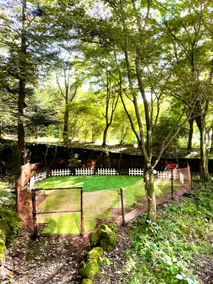 Dog-friendly lakeside cottage by Wamiko lake - Image 2