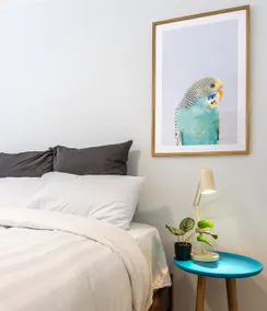 Pet Friendly Beach House in Mossy Point - Image 5