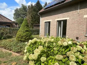Quietly located holiday home in Paal-Beringen - Image 4