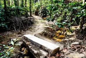 NatureSky Homestay -Full Villa, Home Food & Estate - Image 5