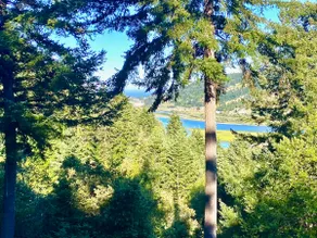 Hummingbird Vista! Scenic River and Ocean Views & Hot Tub - 4WD RQD - Image 2
