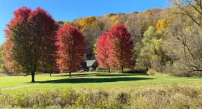 Seven Springs Cabin - Image 2