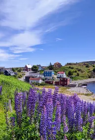Walk to Skerwink/ 1km to Brewery - Image 4