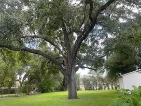 Charming 2/1 home w/ central air - Image 3