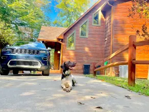 Bird Dog Lodge. Fire pit & hot tub. Dogs stay Free - Image 3