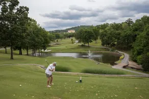 Golfer's Paradise, 15 Min to Silver Dollar City - Image 5