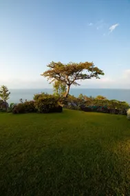 TRES TORTUGAS Lakeside Chateau eat stay..... - Image 3