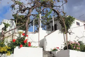 Private house with ocean and mountain views - Image 2