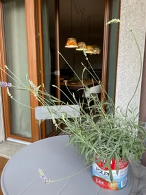 LaCasadiPI - 3 bedrooms 3 bathrooms a stone's throw from Milan - Image 3
