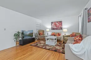 Spacious Home- Centrally located near St. Paul  - Image 2