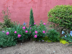 Historic Downtown Garden Oasis with Private Patio - Image 5